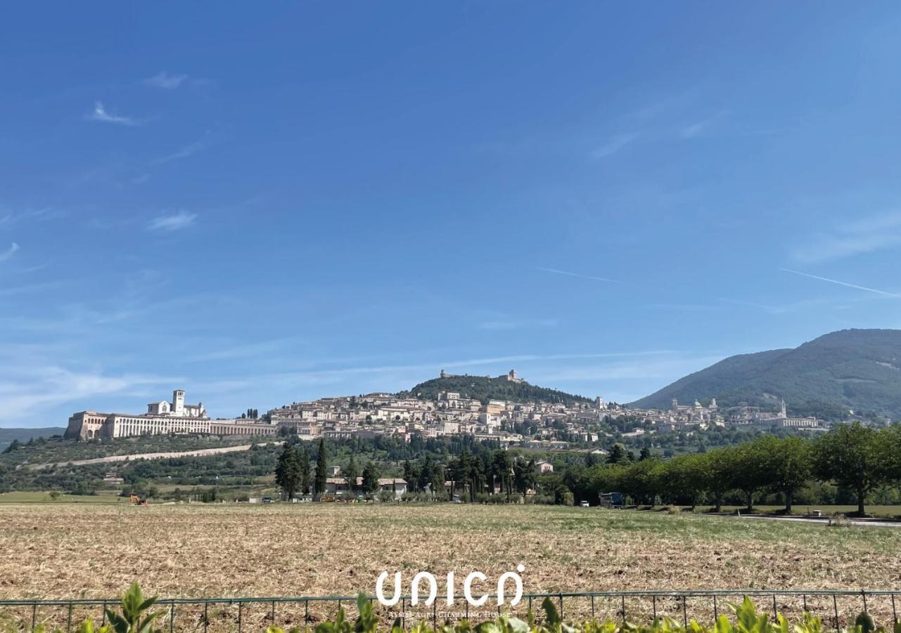 Unica Assisi Agri-Charming House Bed & Breakfast Ngoại thất bức ảnh